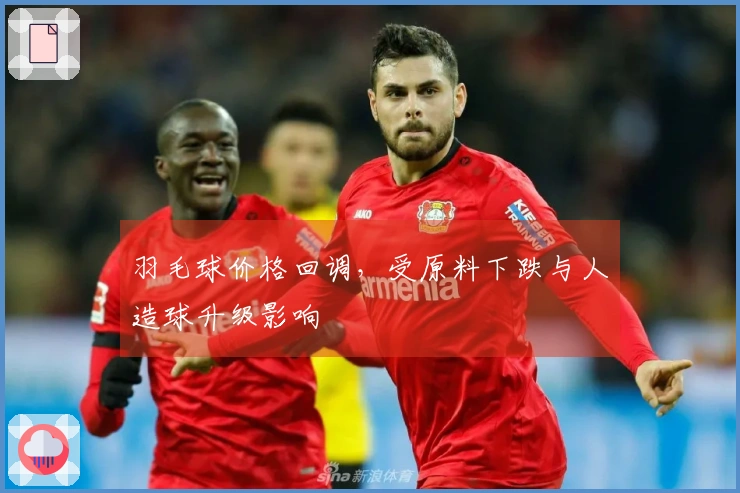 羽毛球价格回调，受原料下跌与人造球升级影响