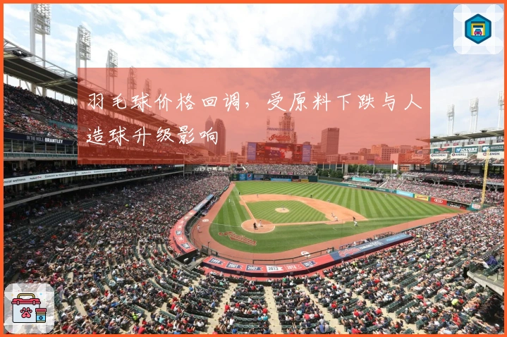 羽毛球价格回调，受原料下跌与人造球升级影响